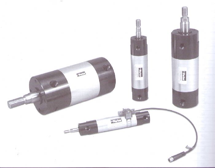 NEUMATICA - Serie P1L